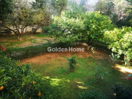 Golden Home Property Image