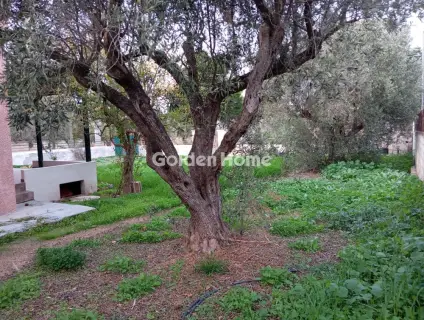 Μονοκατοικία 111τ.μ. προς πώληση φωτογραφία 7