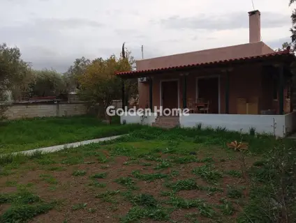 Μονοκατοικία 111τ.μ. προς πώληση φωτογραφία 4