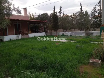 Μονοκατοικία 111τ.μ. προς πώληση φωτογραφία 9