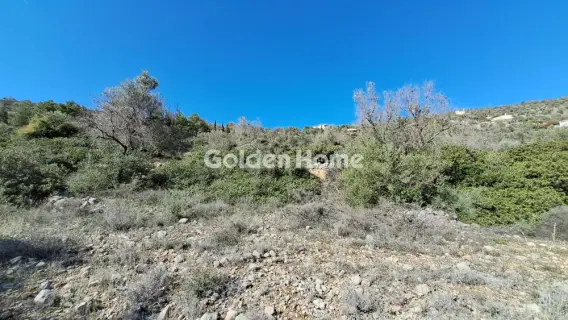 Residential 760m<sup>2</sup> for sale photo 4
