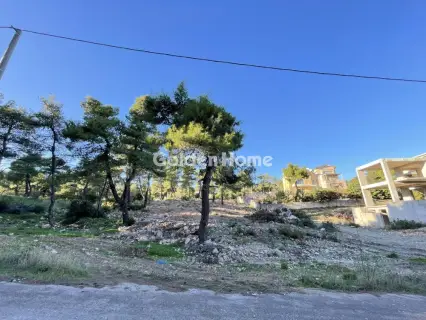 Residential 2054m<sup>2</sup> for sale photo 5147547
