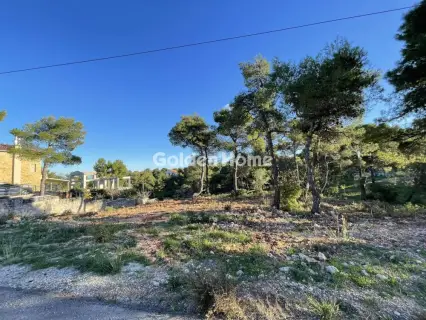 Residential 2054m<sup>2</sup> for sale photo 5147545