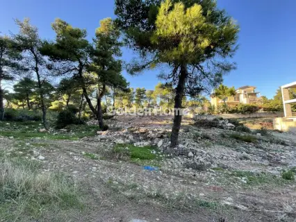 Residential 2054m<sup>2</sup> for sale photo 5147548