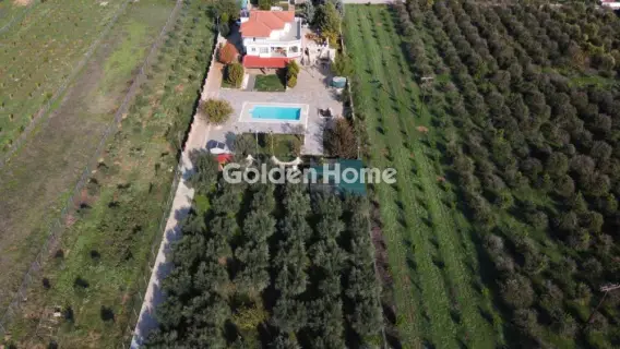 Golden Home Property Image