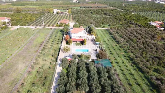 Golden Home Property Image