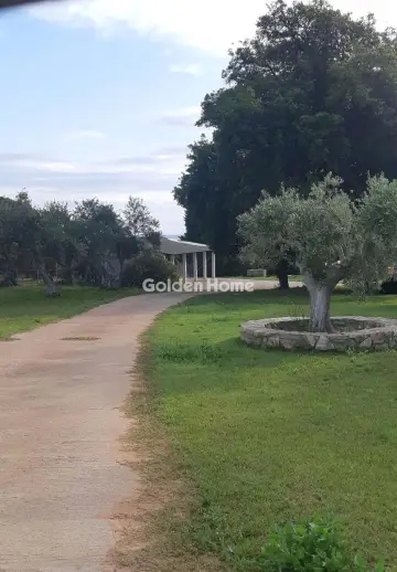 Golden Home Property Image