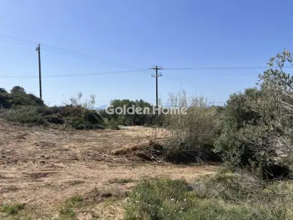 Οικιστικό 4508τ.μ. προς πώληση φωτογραφία 5695040