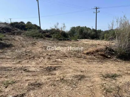 Οικιστικό 4508τ.μ. προς πώληση φωτογραφία 5695041