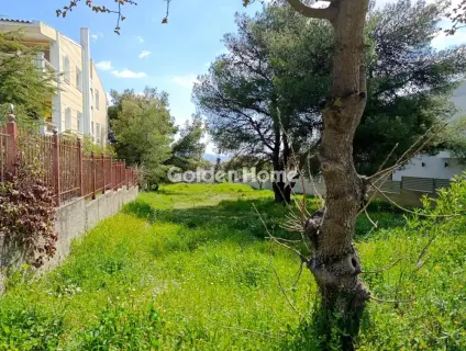 Οικιστικό 1000τ.μ. προς πώληση φωτογραφία 1