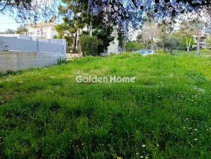 Οικιστικό 1000τ.μ. προς πώληση φωτογραφία 7