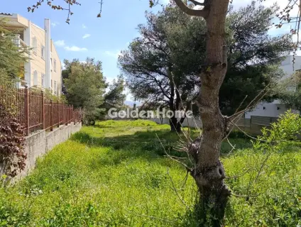 Οικιστικό 1000τ.μ. προς πώληση φωτογραφία 6