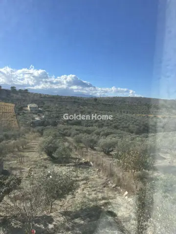 Οικιστικό 1300τ.μ. προς πώληση φωτογραφία 3