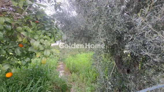 住宅 691m<sup>2</sup> for sale photo 9