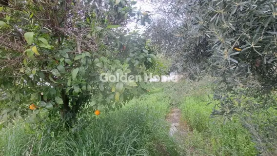 住宅 691m<sup>2</sup> for sale photo 3