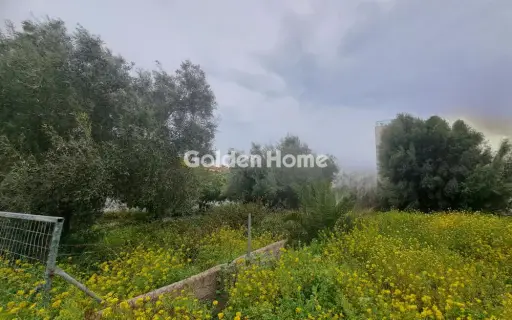 住宅 691m<sup>2</sup> for sale photo 2