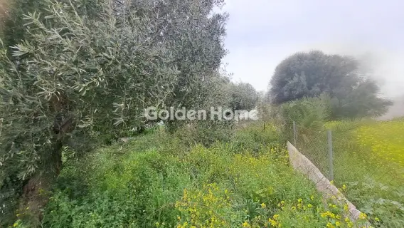 Residential 691m<sup>2</sup> for sale photo 4