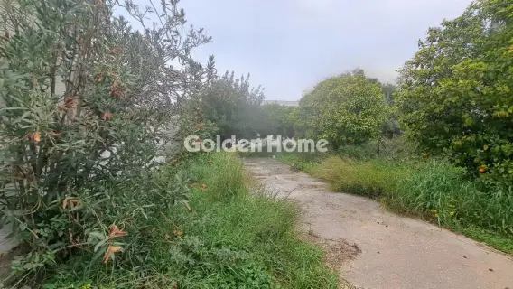 住宅 691m<sup>2</sup> for sale photo 1