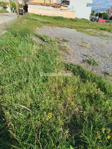 Οικιστικό 295τ.μ. προς πώληση φωτογραφία 5409634