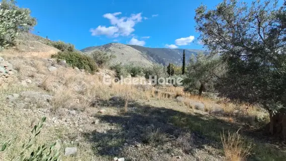 Golden Home Property Image