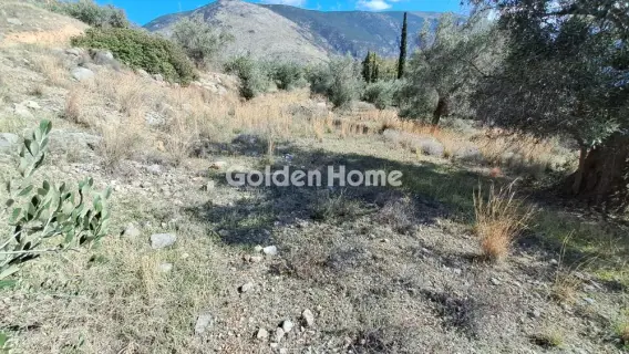 Residential 33198m<sup>2</sup> for sale photo 5156956
