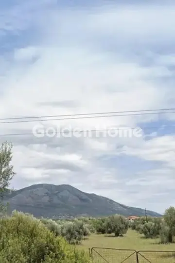 Parcel 74577m<sup>2</sup> for sale photo 11