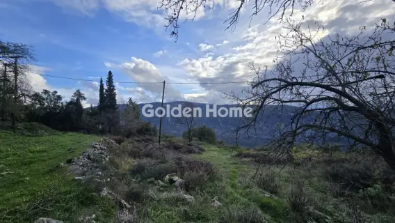 Residential 2200m<sup>2</sup> for sale photo 3