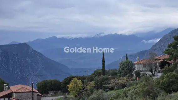 Golden Home Property Image