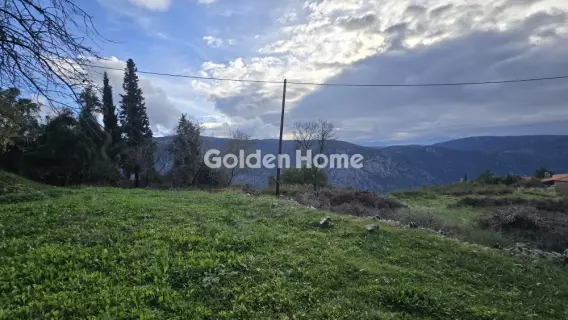 Golden Home Property Image