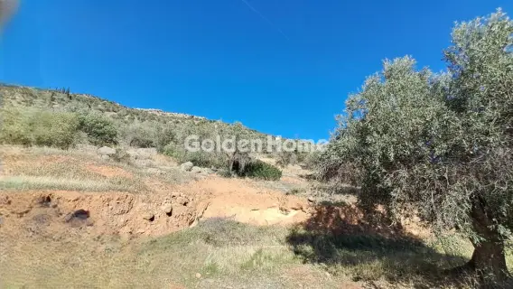 Golden Home Property Image