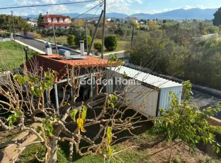 Golden Home Property Image