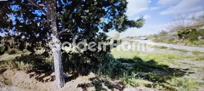 Residential 630m<sup>2</sup> for sale photo 1