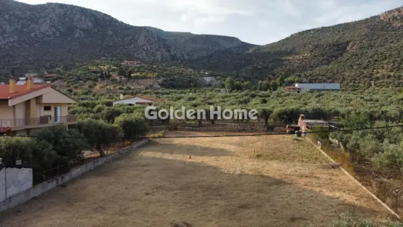 Residential 1100m<sup>2</sup> for sale photo 3
