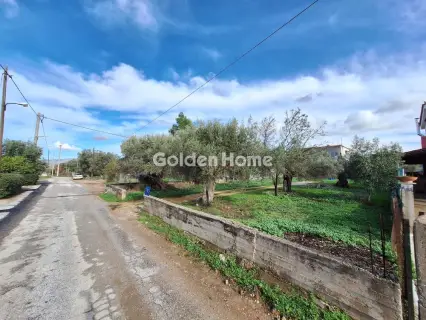 Golden Home Property Image