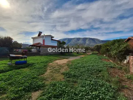 Golden Home Property Image