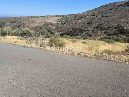 Οικιστικό 1382τ.μ. προς πώληση φωτογραφία 2