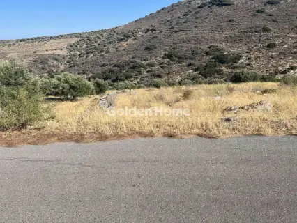 Οικιστικό 1382τ.μ. προς πώληση φωτογραφία 6