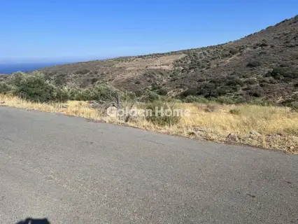 Οικιστικό 1382τ.μ. προς πώληση φωτογραφία 10