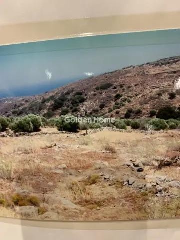 Οικιστικό 1382τ.μ. προς πώληση φωτογραφία 8