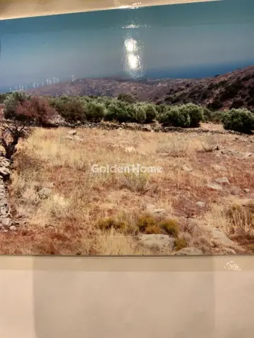 Οικιστικό 1382τ.μ. προς πώληση φωτογραφία 14