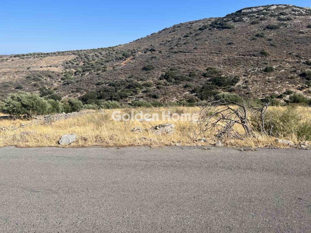 Οικιστικό 1382τ.μ. προς πώληση φωτογραφία προβολής