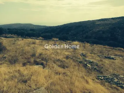 Residential 1380m<sup>2</sup> for sale photo 5385413