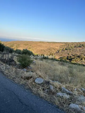 Residential 1380m<sup>2</sup> for sale photo 5385422