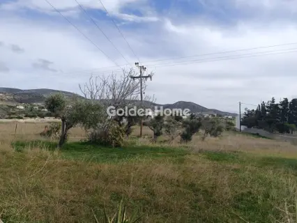 Residential 1000m<sup>2</sup> for sale photo 5170937