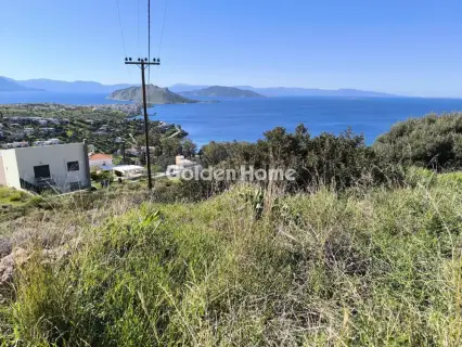 Residential 504m<sup>2</sup> for sale photo 4