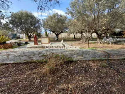 独立建筑 455m<sup>2</sup> for sale photo 22