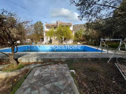 Golden Home Property Image