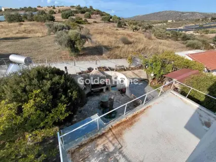 Golden Home Property Image