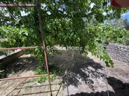 House 105m<sup>2</sup> for rent photo 5448070