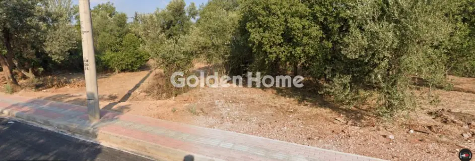 Golden Home Property Image